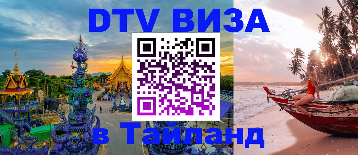 Оформление DTV визы под ключ: стоимость и тарифы, только загранпаспорт - Саранск  07.01.2026 